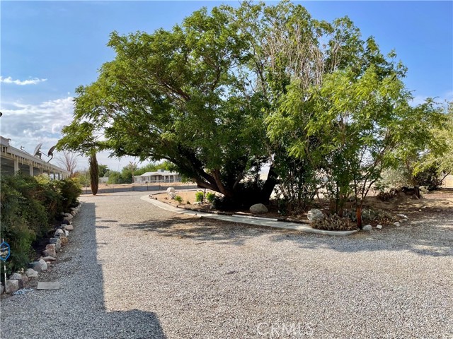 MLS #OC25244516 image #11