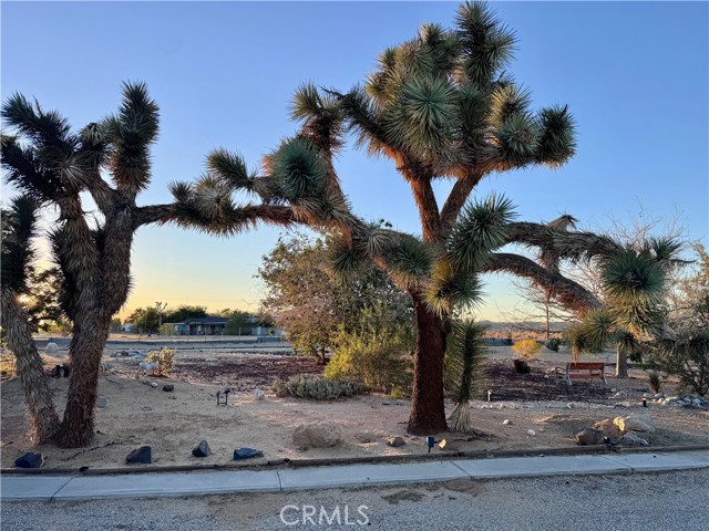 MLS #OC25244516 image #21