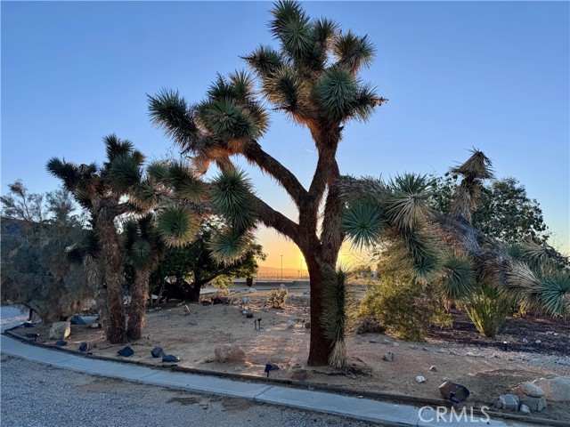 MLS #OC25244516 image #22