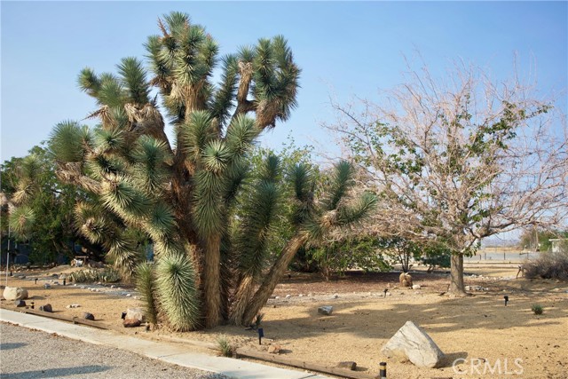 MLS #OC25244516 image #28