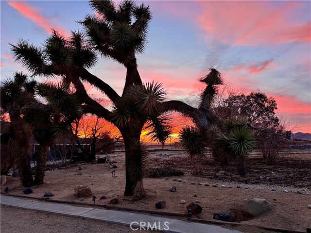 MLS #OC25244516 image #29