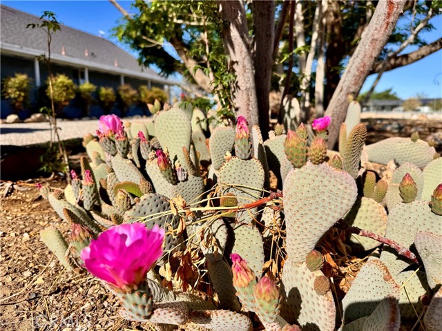 MLS #OC25244516 image #32