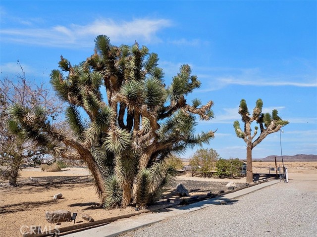 MLS #OC25244516 image #42