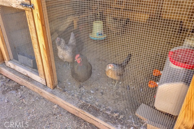 MLS #OC25244782 image #53