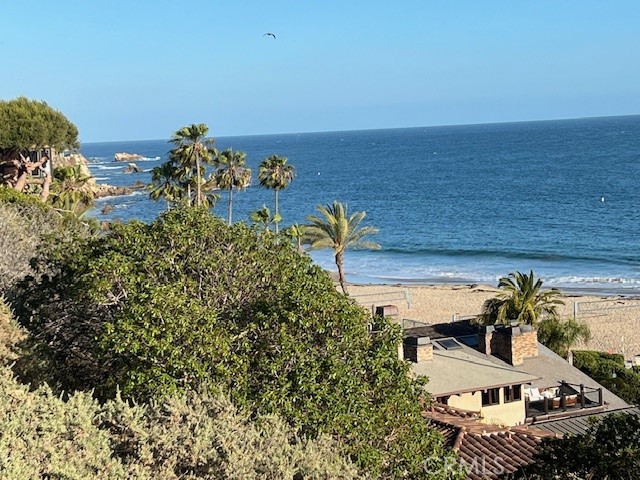 MLS #OC25244826 image #48