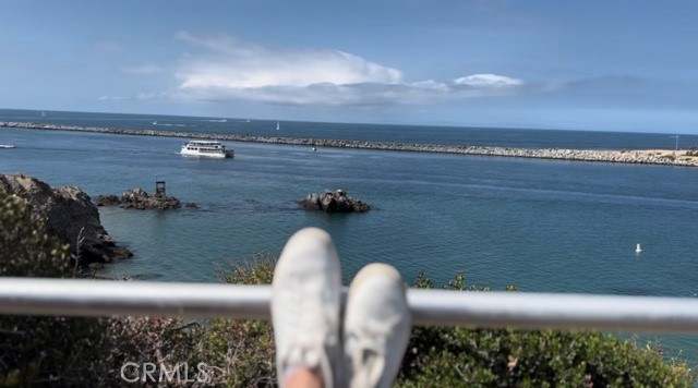 MLS #OC25244826 image #55