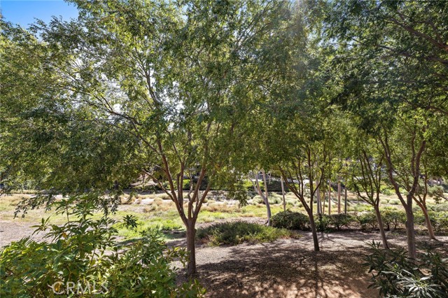 MLS #OC25244870 image #11