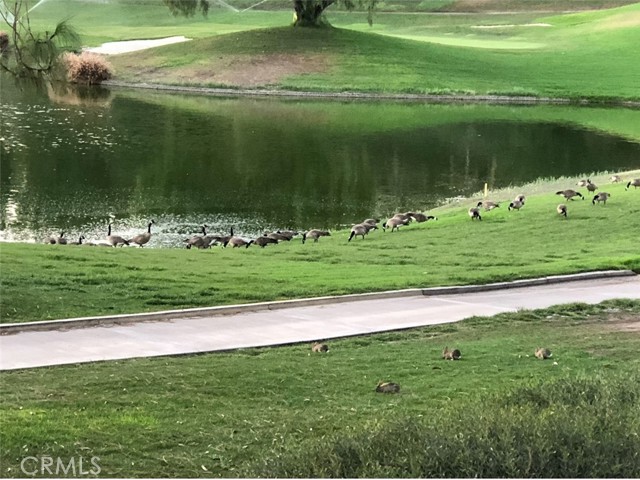 MLS #OC25244961 image #22