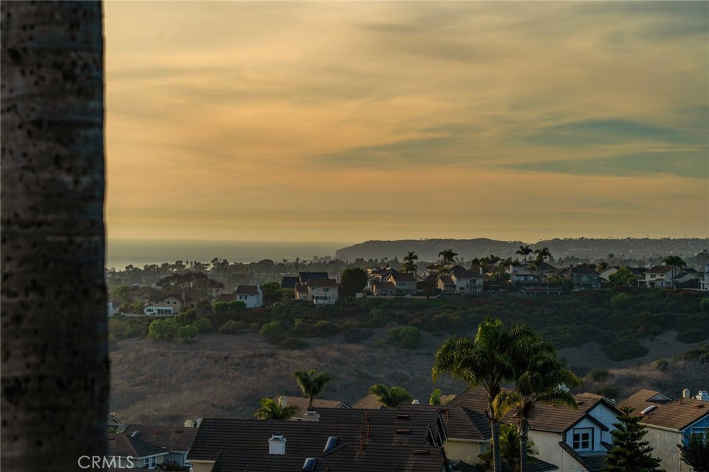 MLS #OC25245288 image #53