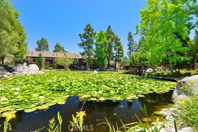 MLS #OC25245707 image #19