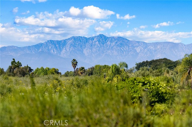 MLS #OC25246319 image #57