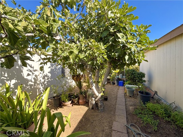 MLS #OC25247225 image #23