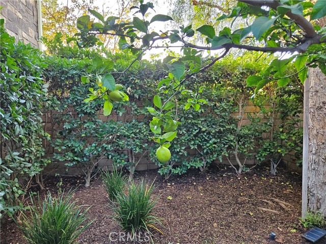 MLS #OC25247393 image #16