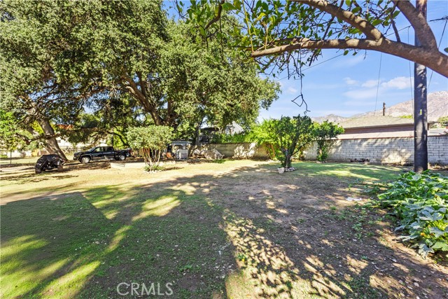 MLS #OC25247548 image #8