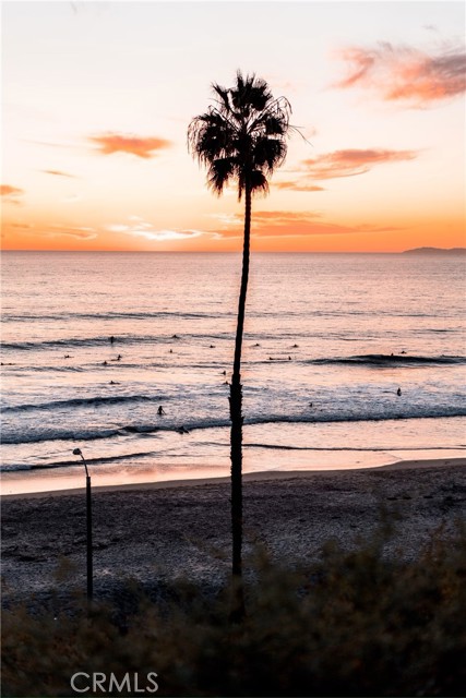 MLS #OC25247559 image #44