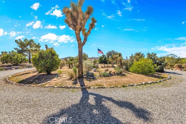 MLS #OC25247911 image #6