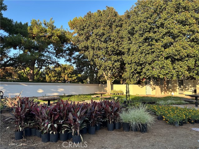 MLS #OC25248049 image #25