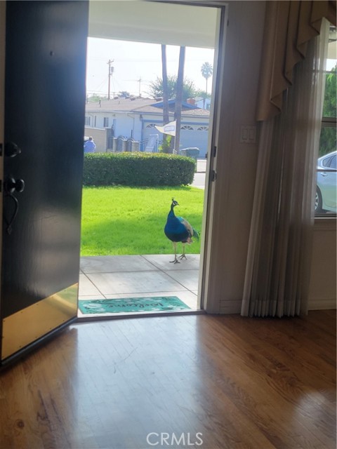 MLS #OC25248330 image #40