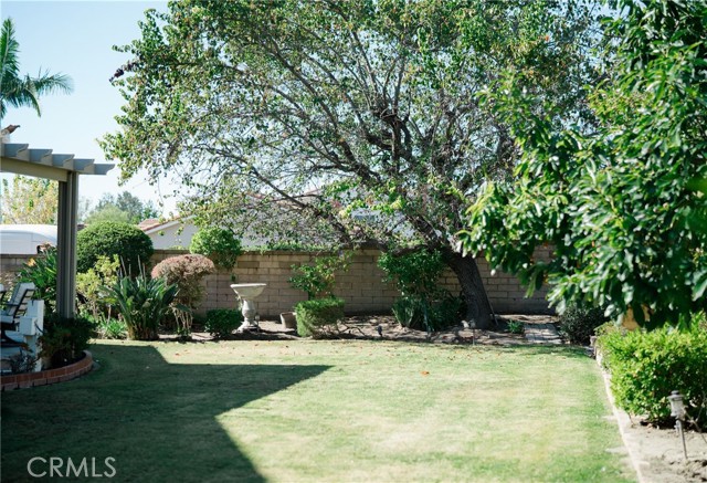 MLS #OC25248538 image #6