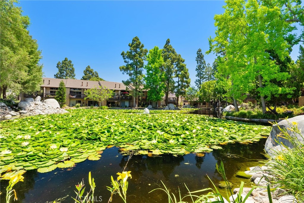 MLS #OC25248663 image #30