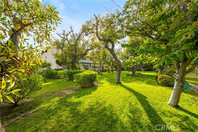 MLS #OC25249195 image #53