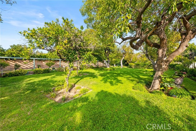 MLS #OC25249195 image #61