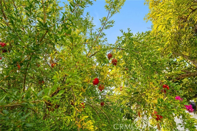 MLS #OC25249195 image #62