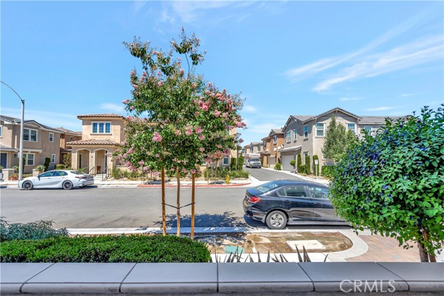 MLS #OC25250150 image #9