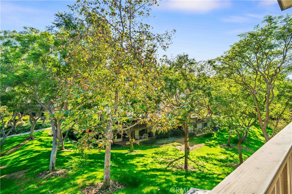 MLS #OC25250186 image #25