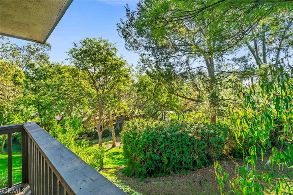 MLS #OC25250186 image #9