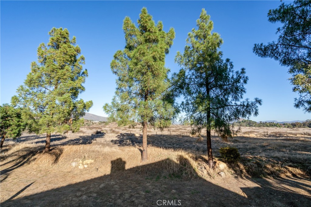 MLS #OC25250274 image #12