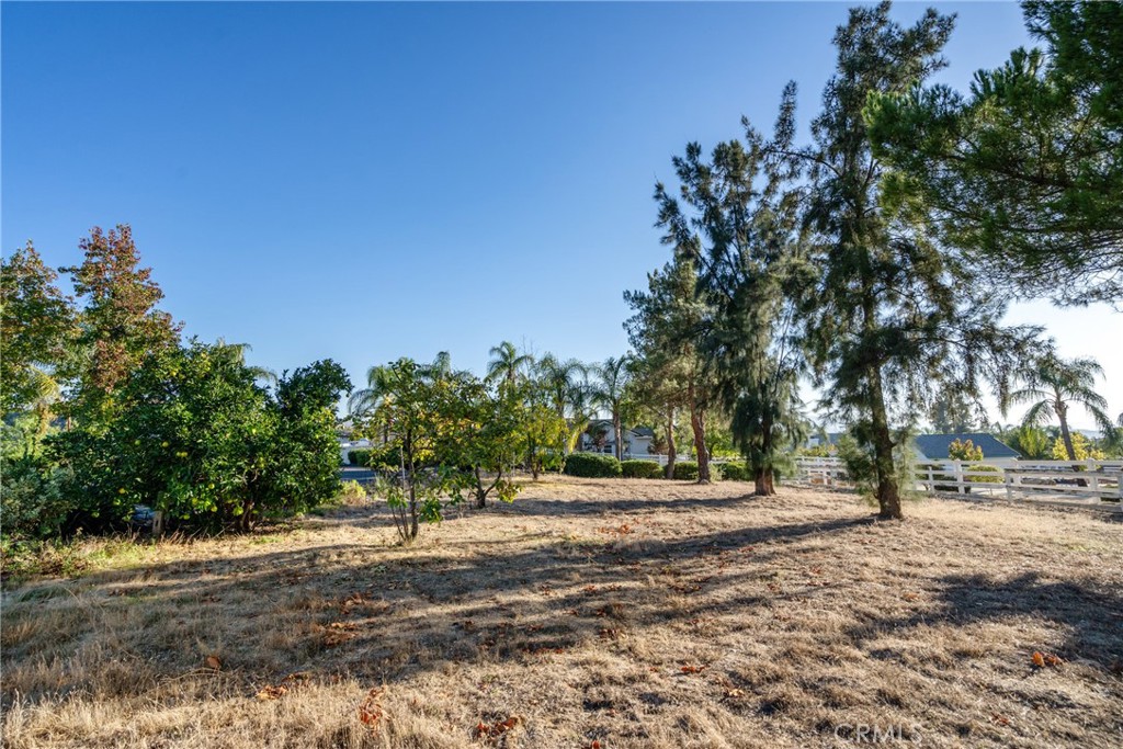 MLS #OC25250274 image #6