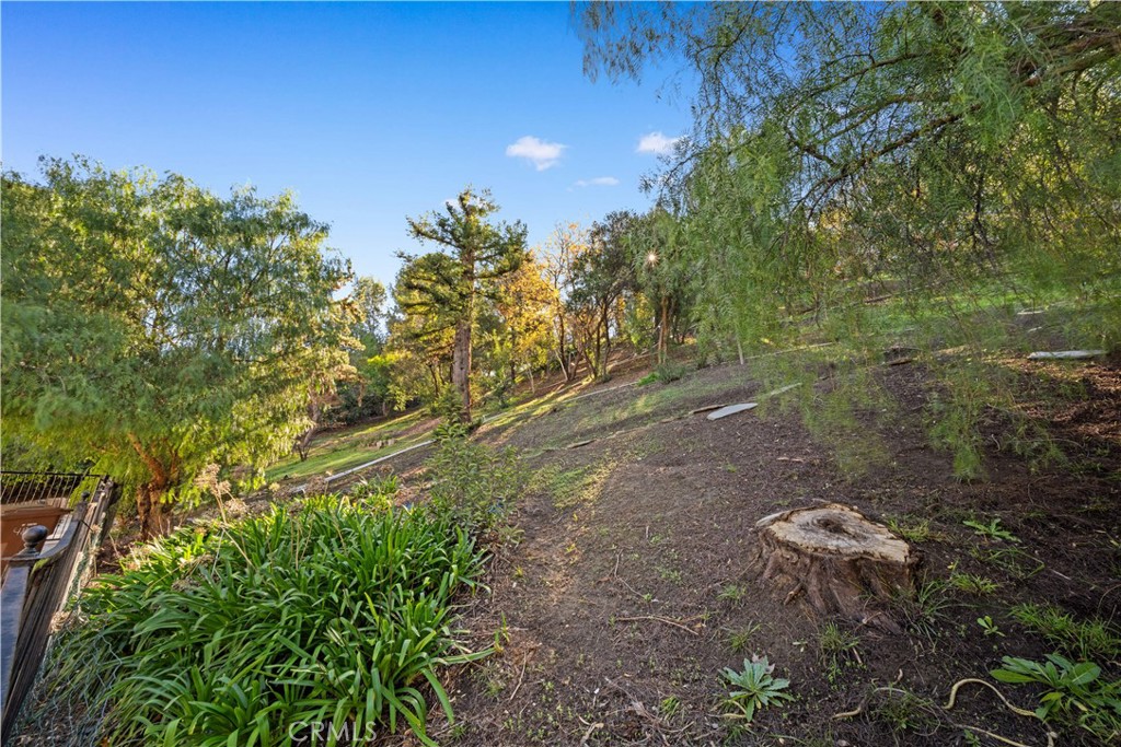 MLS #OC25250292 image #42