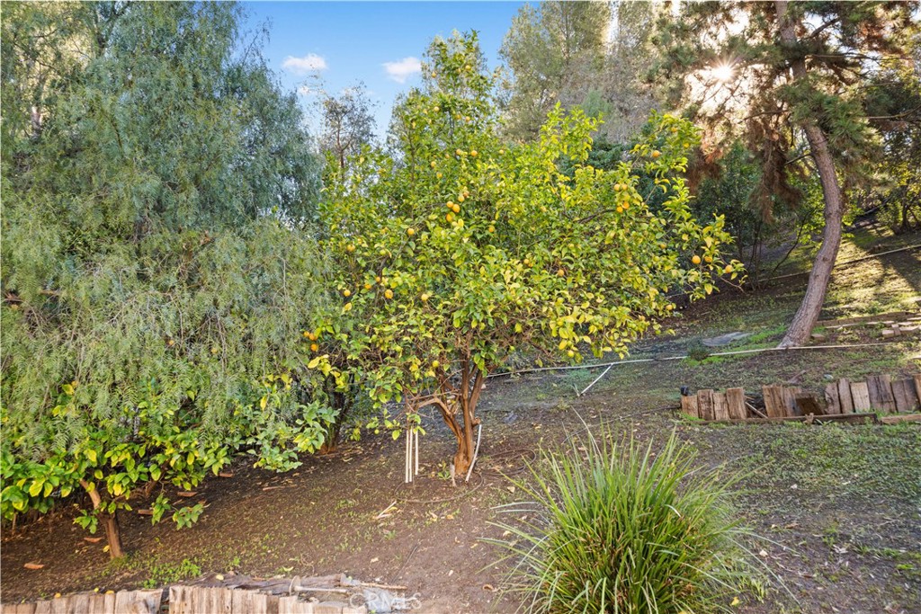 MLS #OC25250292 image #43