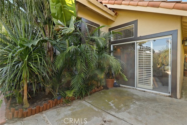 MLS #OC25250756 image #23