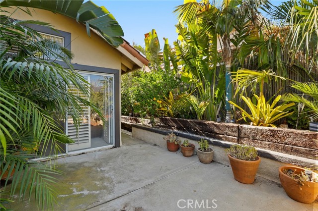 MLS #OC25250756 image #24