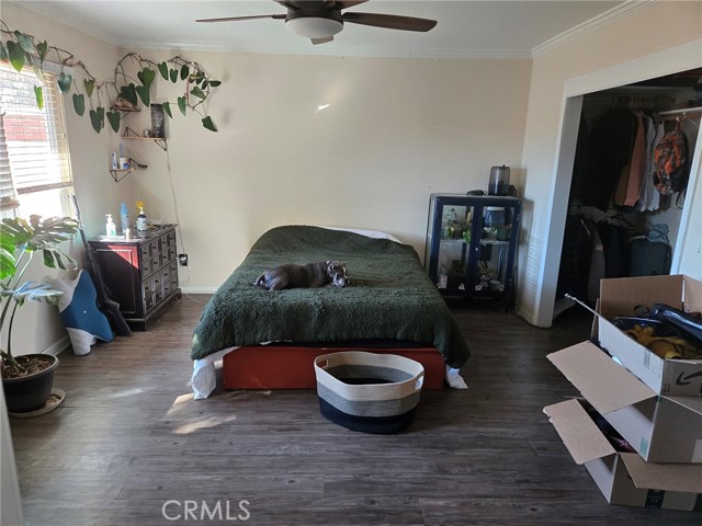 MLS #OC25250825 image #8