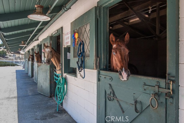 MLS #OC25250868 image #47