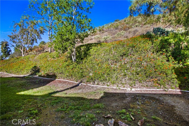 MLS #OC25250949 image #24