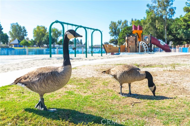 MLS #OC25251169 image #46