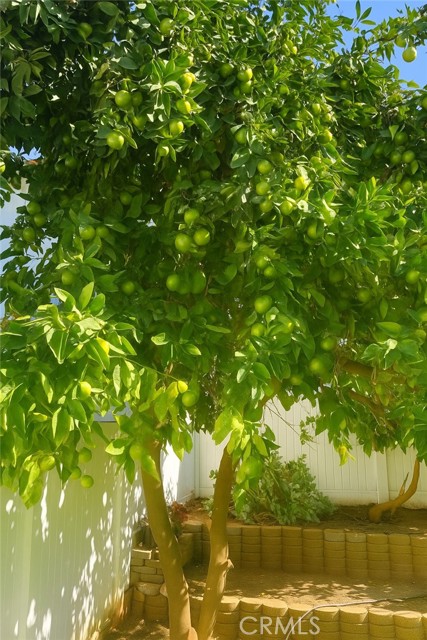 MLS #OC25251275 image #27