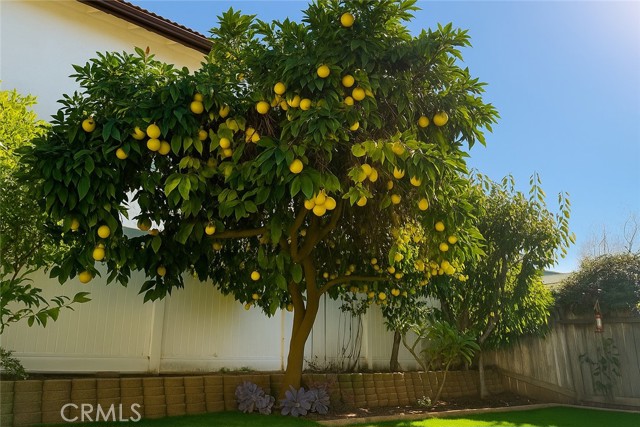 MLS #OC25251275 image #29