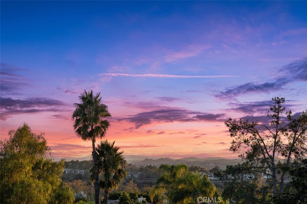 MLS #OC25251654 image #1