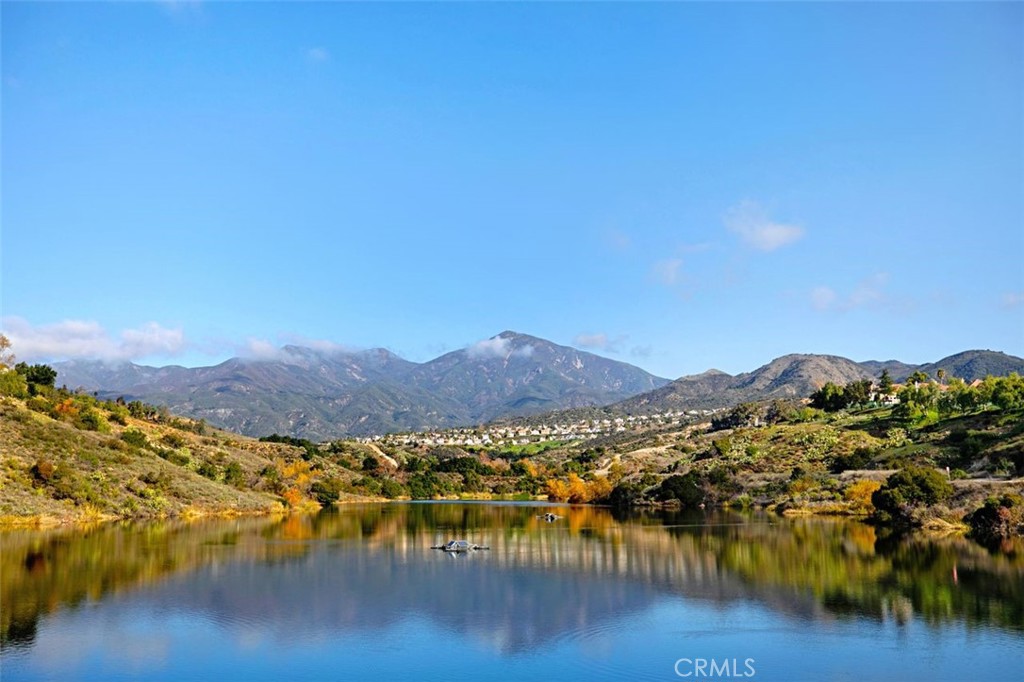 MLS #OC25251654 image #50