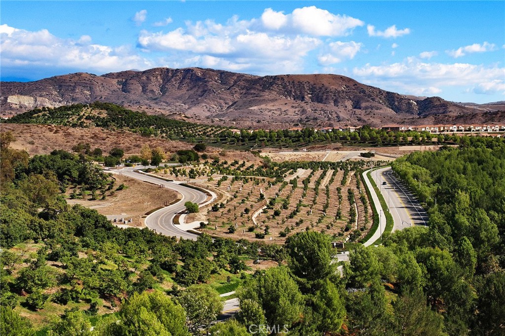 MLS #OC25251757 image #58