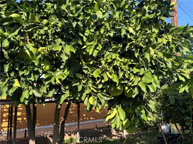 MLS #OC25252145 image #27