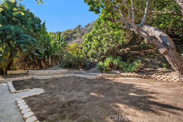 MLS #OC25252846 image #6