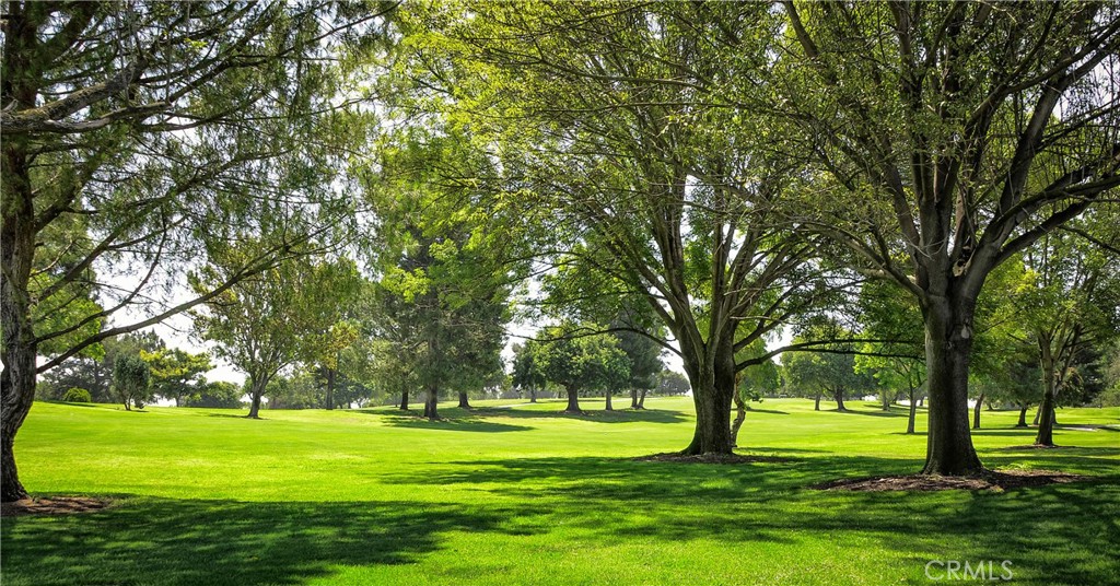 MLS #OC25178527 image #15