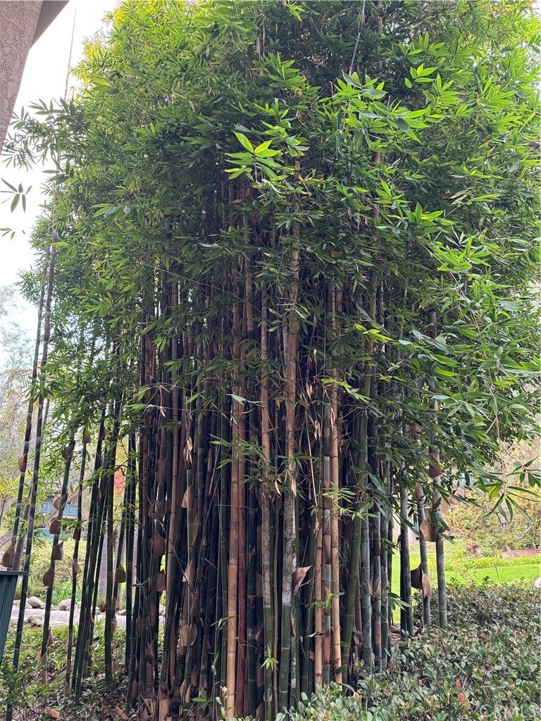 MLS #OC25253202 image #21