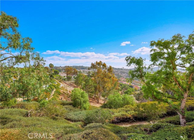 MLS #OC25253437 image #47